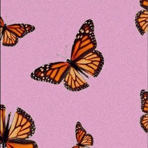 Meet your Posher, Mariam